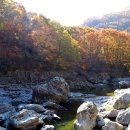 보석사   은행나무 이미지