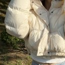 디키 | 오사와 디키든 크롭 후드 패딩 후기! 일교차 큰 봄 날씨에도 찰떡인 숏패딩 트렌디룩