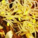 신두꺼비식당 이미지