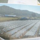 유어면사무소 이미지