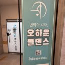 라인댄스 초급B | [창원 폴댄스] 오하운폴댄스학원 초보 입문 수업 후기
