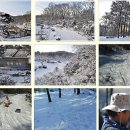 부광농장 이미지