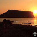 남양떡방앗간 이미지