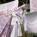 빨래모아 이미지