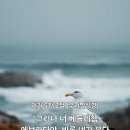 미가