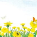 순천도사초등학교 이미지