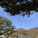 테라스의 아침 이미지