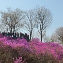 부천둘레길3코스 | 원미산 진달래 동산, 부천둘레길 1코스