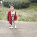서천레스피아공원 이미지