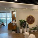 샤브샤브 린 이미지