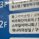 개나리의상실 네이버블로그