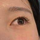 모모속눈썹 - 익산시 | 대치동속눈썹 모모속눈썹｜자연스러운 속눈썹연장 후기