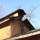 전원카페 이미지