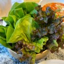 명품한우육회 | 분당 고기 맛집 적향 분당본점에서 명품 한우 먹은 후기