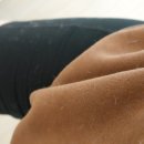 주식회사 우리동물약품 | 부산쇼파청소 비치움홈케어 명지점 강아지 털로 난리난 소파 홈케어 후기