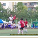 삼일공 이미지