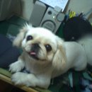 은행2동 이미지