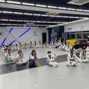 국가대표 메카태권도 | [학원 셔틀 정보] 에어킥태권도
