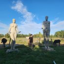 아낙네오리농장 이미지