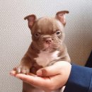 몬 불리 클럽 이미지