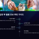 반려라이프 | 🐹 햄스터 종류별 성격 차이 비교｜처음 키우는 사람을 위한 입양&amp;펫보험 가이드