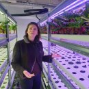 동일농장 이미지