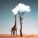 아이디아 이미지