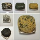 정선아기동물농장 이미지