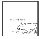 아기돼지 삼형제 Daum카페