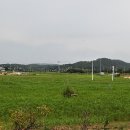 울진 해파랑길 풍경,(1) 왕피천과 엑스포공원 이미지