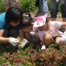 호진농장 이미지