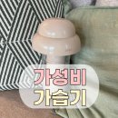 가성비 좋은 가습기 리브제 2주 사용 후기