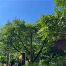 박달재전통시장 | 제천 포레스트리솜 효도여행 s25이용후기(빌라형)