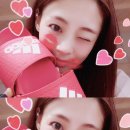 셈버 Daum카페