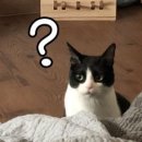 쉐어데스크 부천송내점 이미지