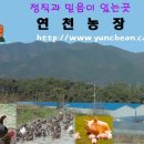 상금농장 이미지