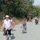 걷기 좋은 길 “뛰면 그 매력 다 못 봐요~ 쉬엄쉬엄 올라가고 둘러보세요” 이미지