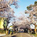 중문동-25 이미지