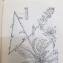 북경백침당한의원 이미지