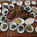 포힐 주식회사 Daum카페