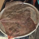 미암면사무소 | 영암 독천오일장날, 4일 9일 장터 풍경과 주차 꿀팁까지 (직접 다녀왔어요)