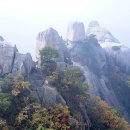 버스정류장 07-495 이미지