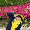 서울대청초등학교 이미지