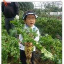 찬이농장 이미지