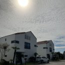 비자림빌리지3 이미지