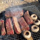 러빙네이쳐 이미지