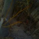 백우농장 이미지