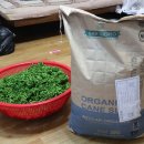 진생농장 이미지