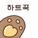 원조꼬리치는돼지 이미지