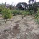 북동초등 이미지